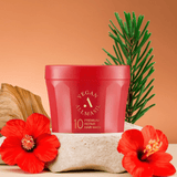 ALLMASIL 10 Premium Repair Hair Mask